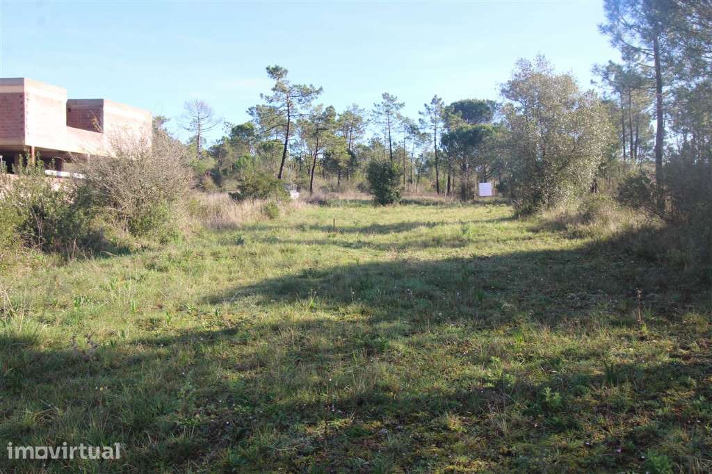 Terreno para construção , Cernache - Grande imagem: 4/13