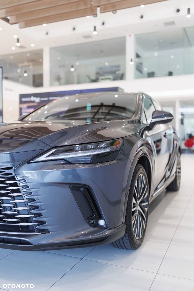 Lexus RX - 23