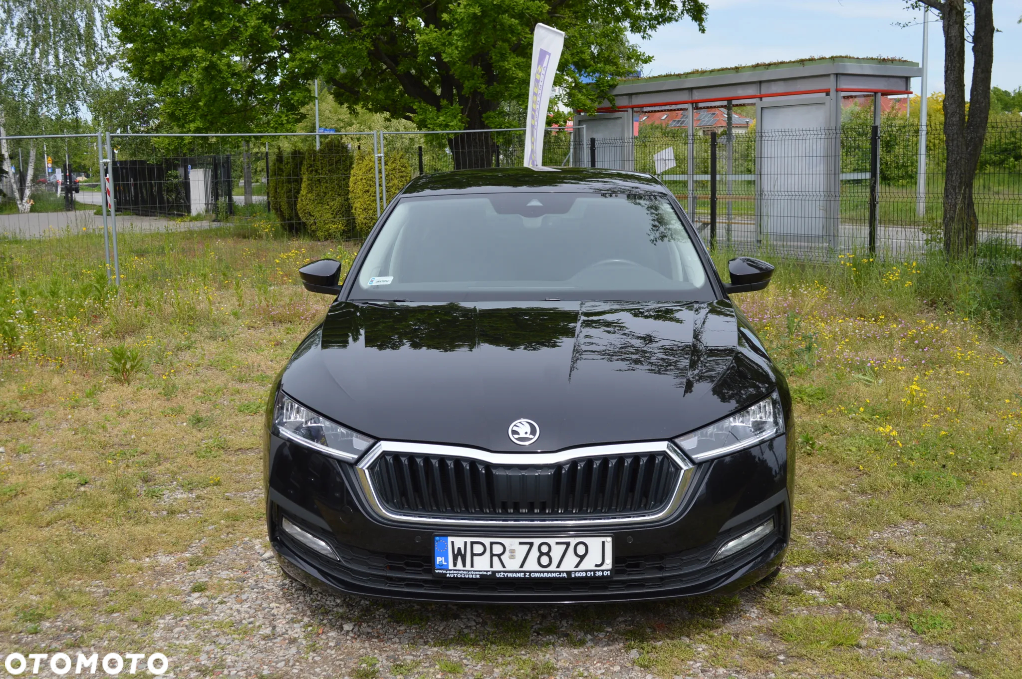 Skoda Octavia - 18