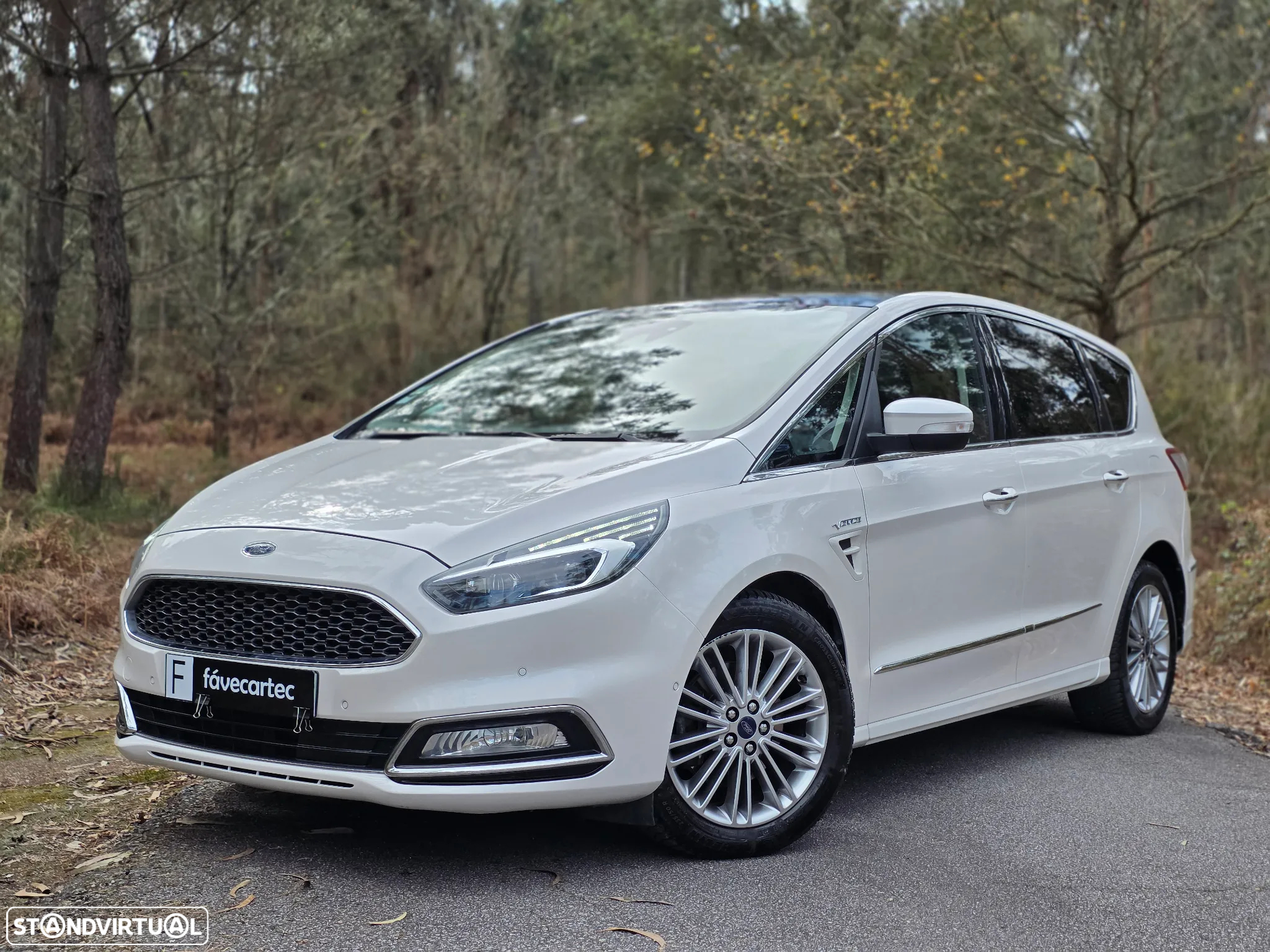 Ford S-Max 2.0 TDCi Vignale Powershift - 20