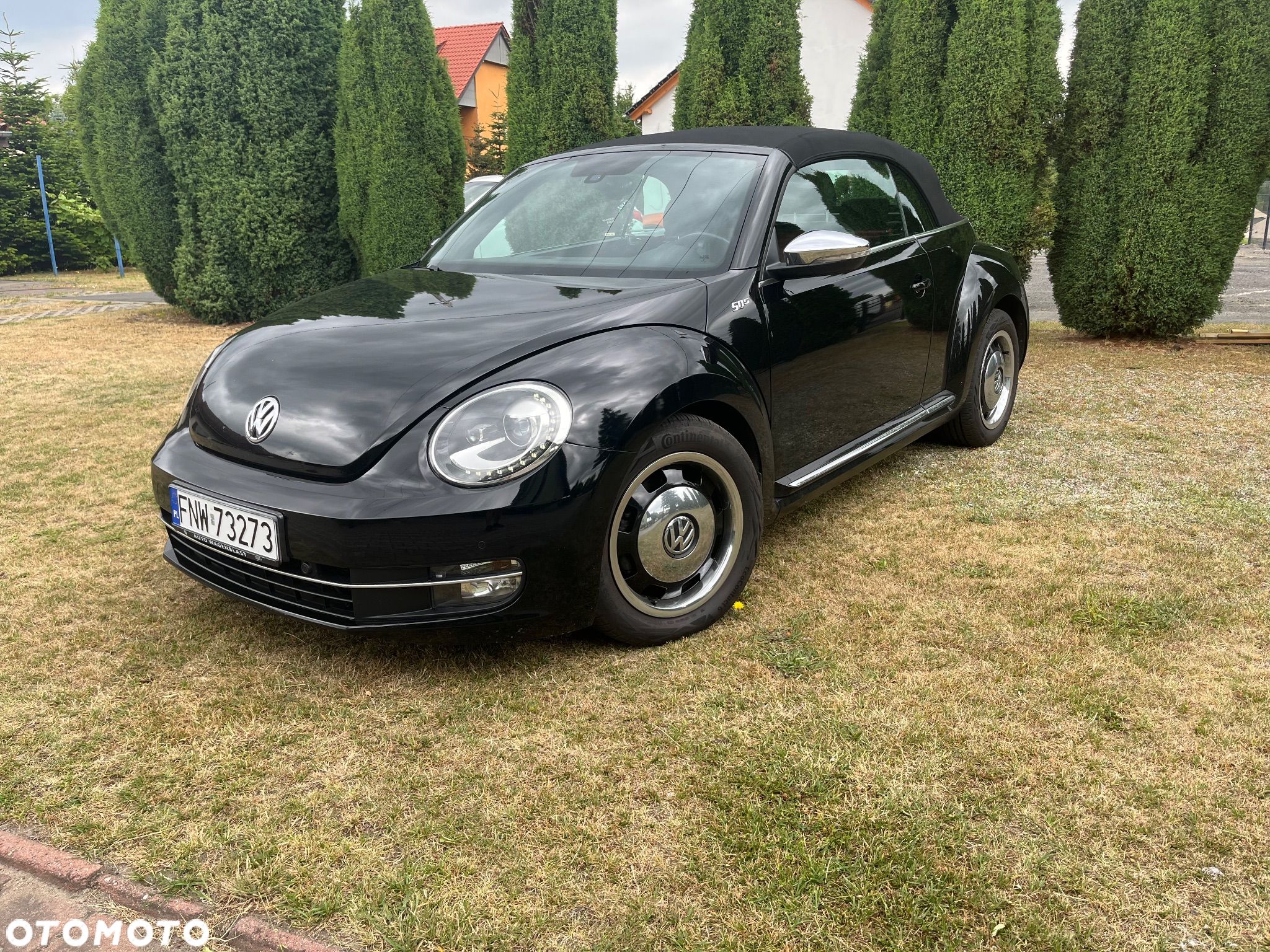 Volkswagen Beetle - 1