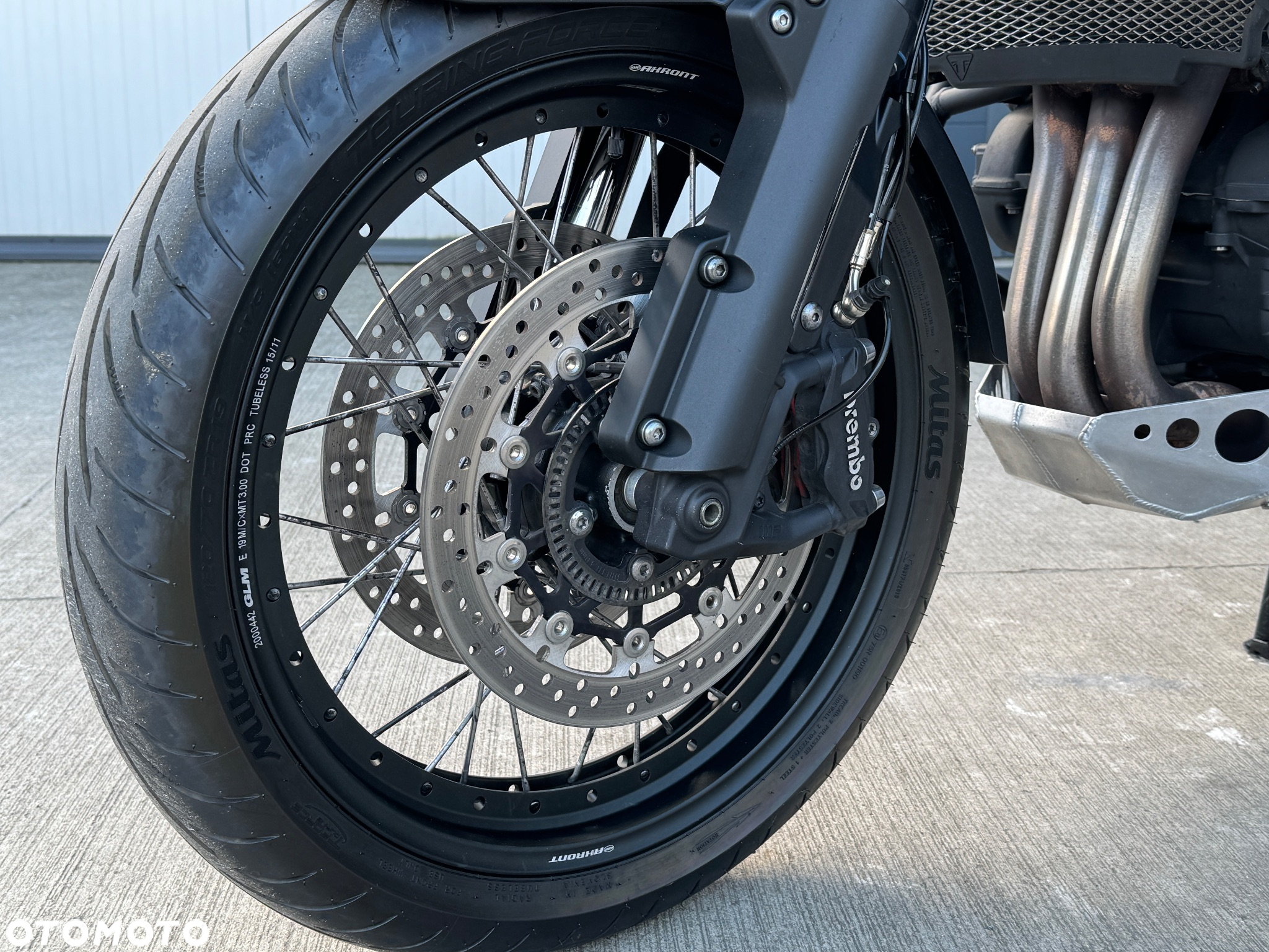 Triumph Tiger - 32