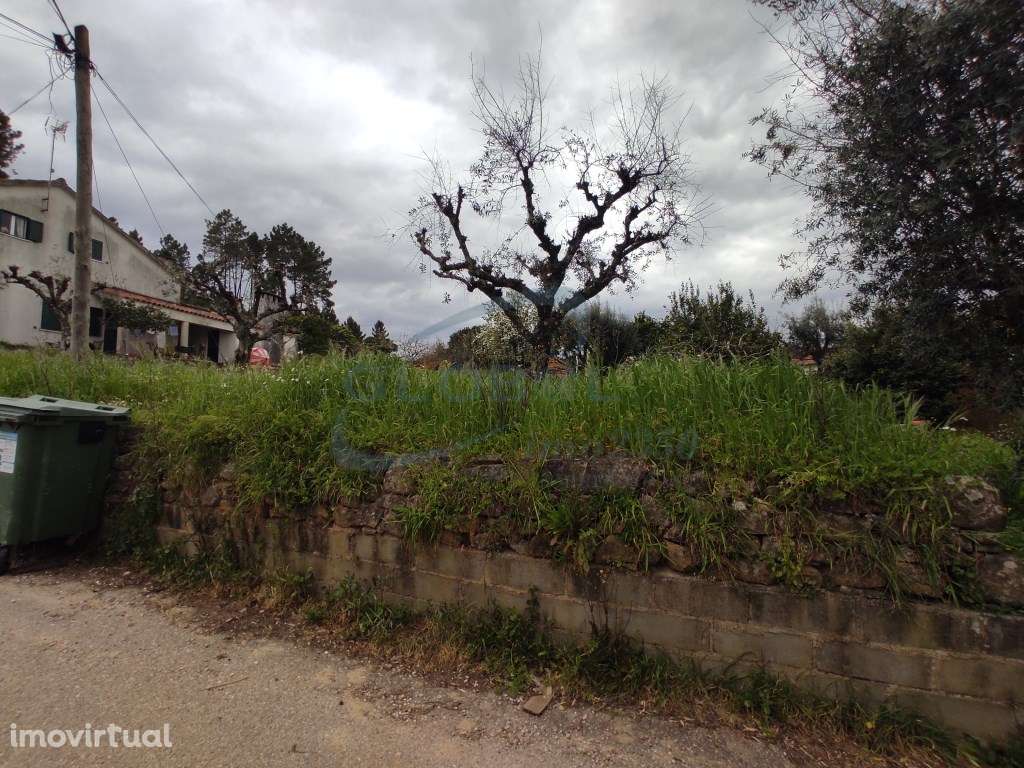 Terreno urbano com 360 m² em Rosmaninhal - ideal para moradia de so... - Grande imagem: 3/4