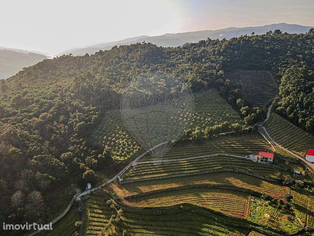 Quinta T3 para venda - Grande imagem: 3/47