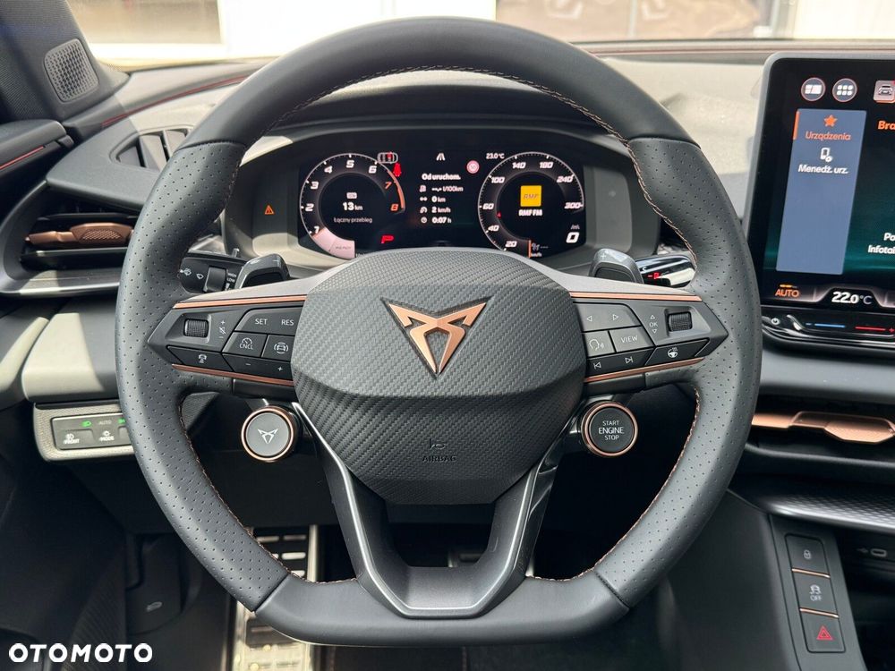 Cupra Terramar 2.0 TSI 4Drive DSG - 24