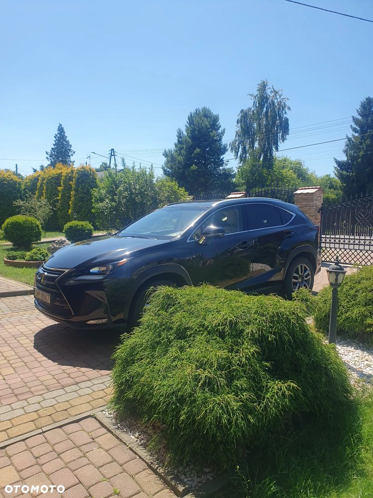 Lexus NX 300h Elegance AWD - 1