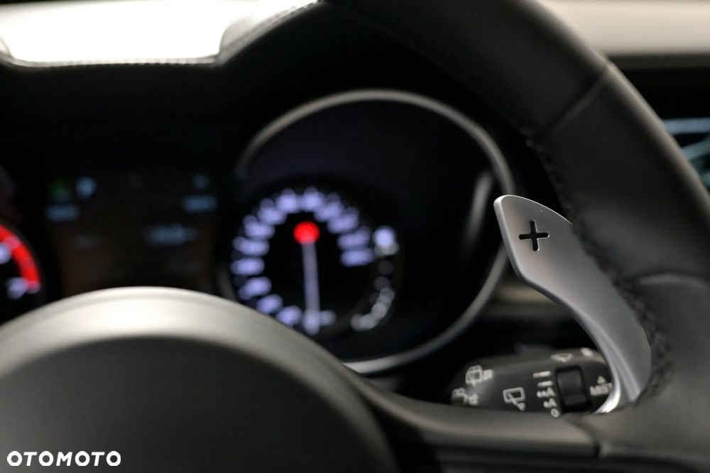 Alfa Romeo Stelvio 2.0 Turbo TI Q4 - 24