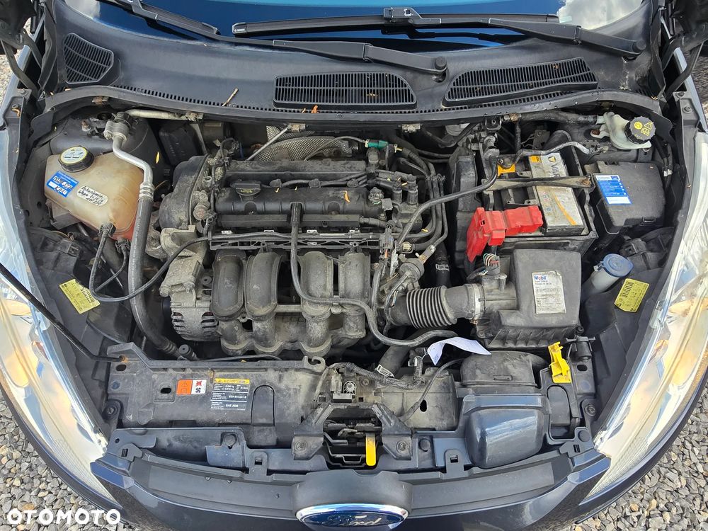 Ford Fiesta - 24