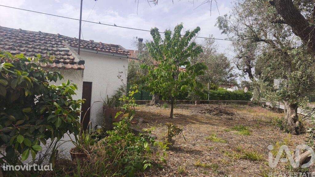 Casa / Villa T3 em  de 54 m2 - Grande imagem: 3/5