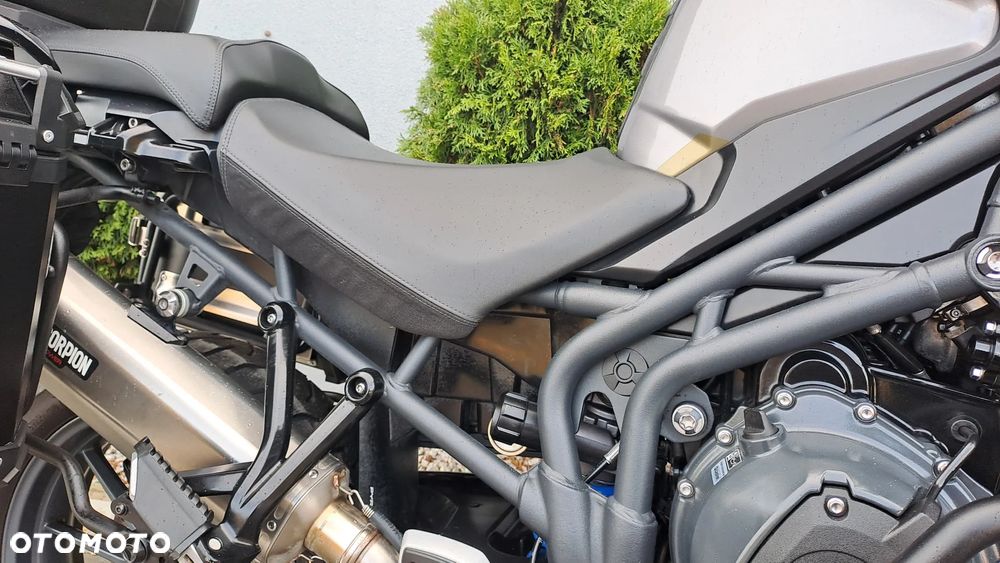 Triumph Tiger - 16