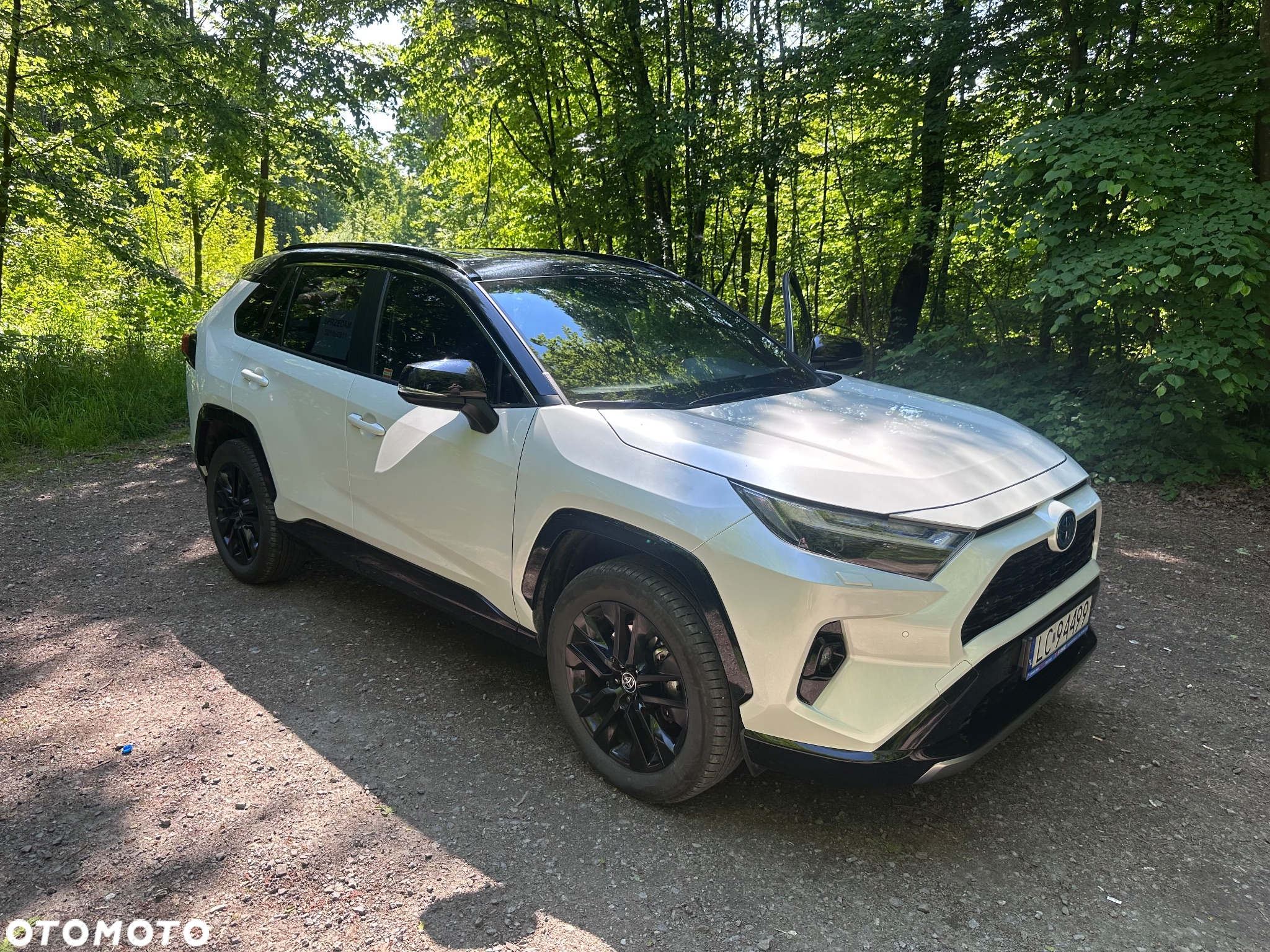 Toyota RAV4 - 11