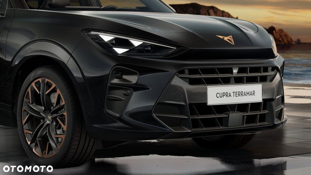 Cupra Terramar 2.0 TSI 4Drive DSG - 9
