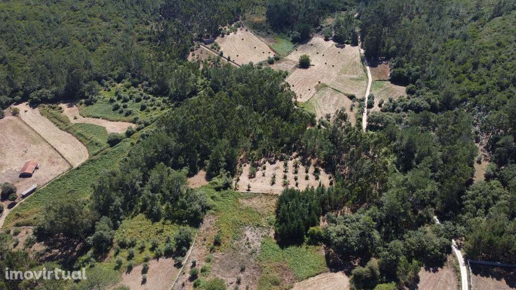 Venda Terreno - Grande imagem: 3/16