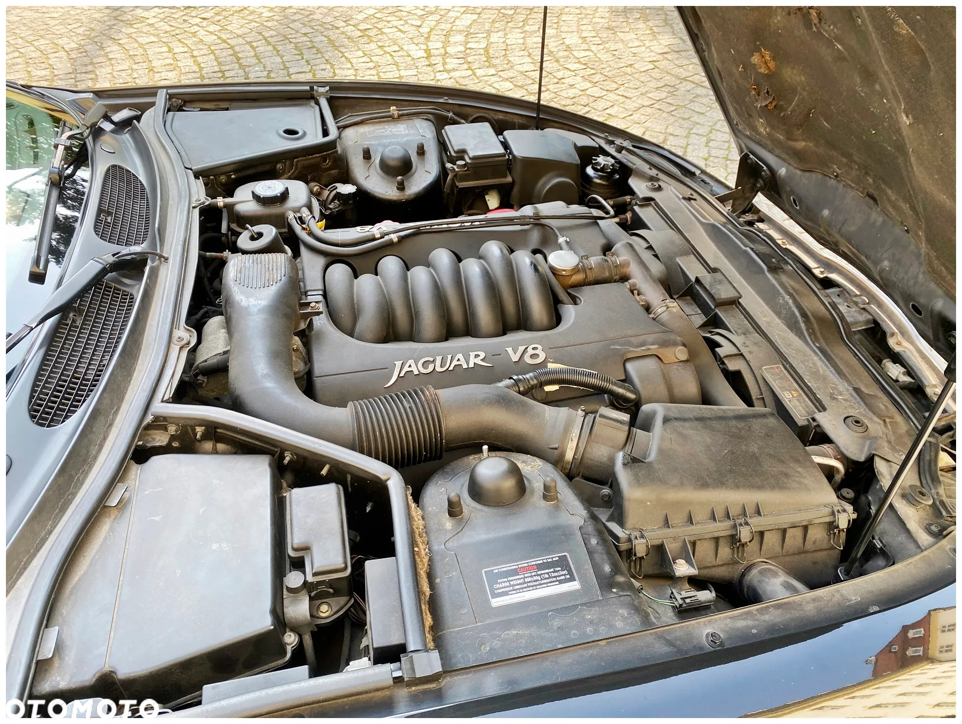 Jaguar XK - 26