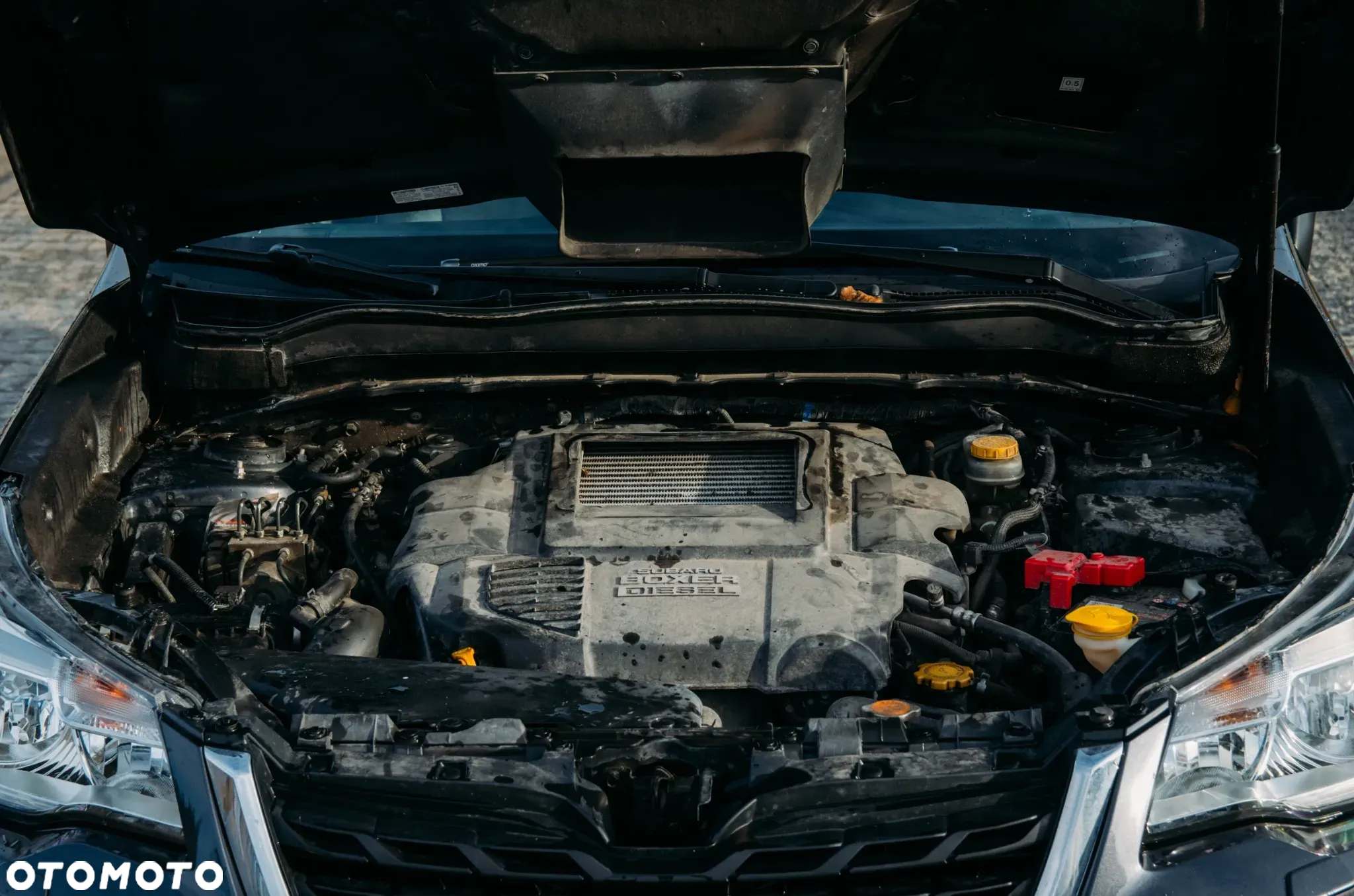 Subaru Forester 2.0 D Exclusive Lineartronic - 22