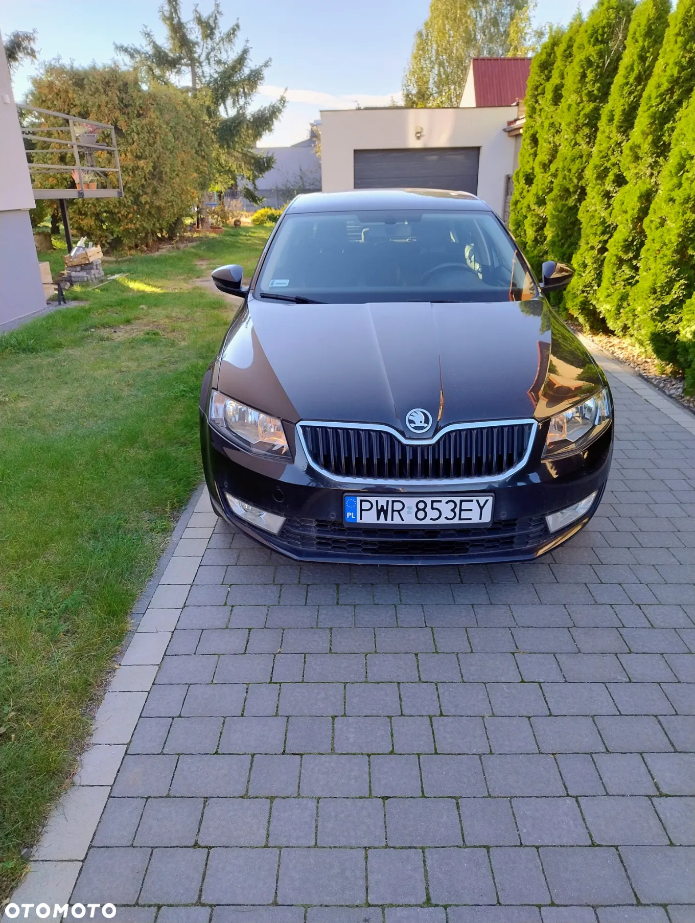 Skoda Octavia 1.4 TSI Joy - 2