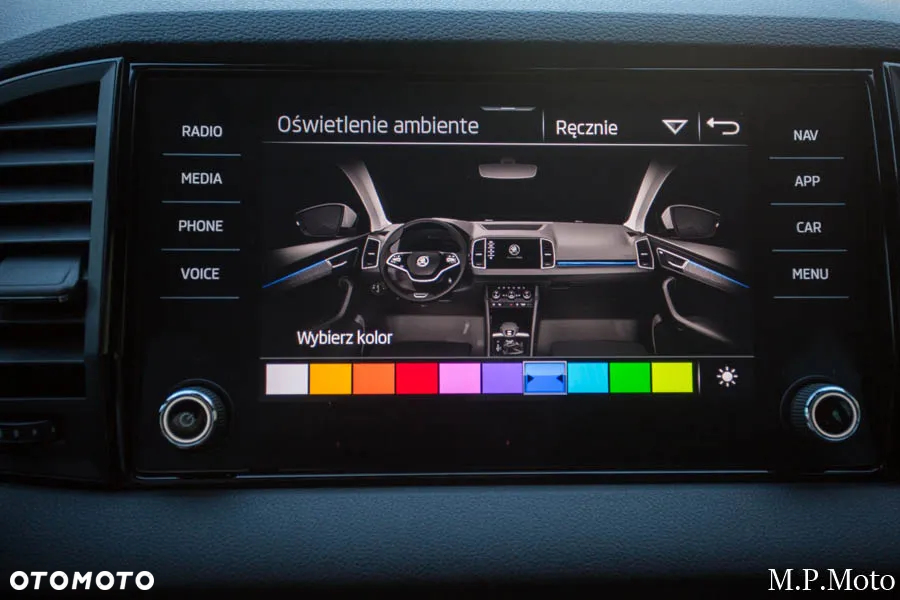 Skoda Karoq 2.0 TSI 4x4 Sportline DSG - 19