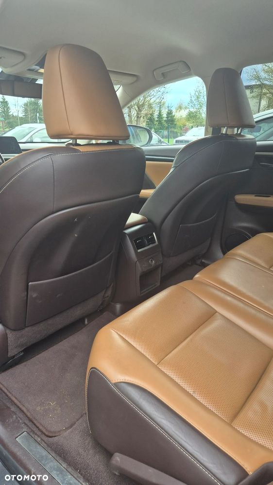 Lexus RX 200t / 300 Elegance - 19