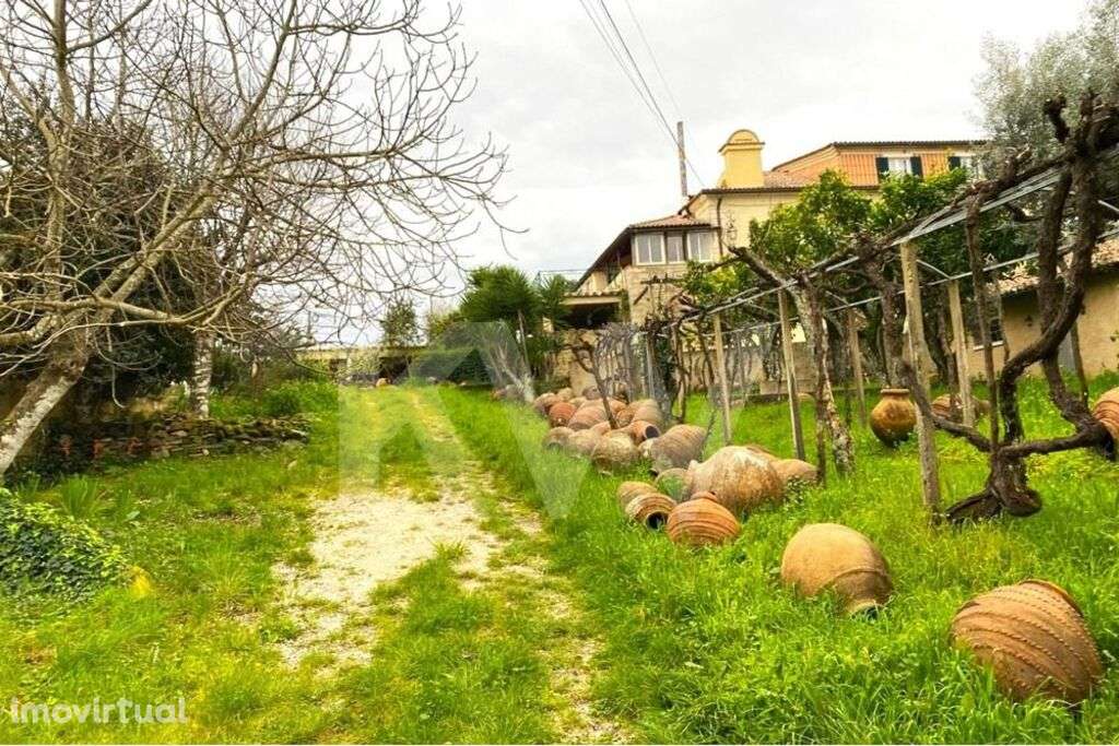 QUINTA VITIVINICOLA - HOTEL BOUTIQUE NA SERTÃ - Grande imagem: 4/60