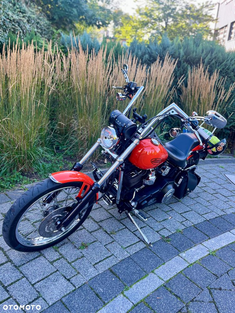 Harley-Davidson Softail Standard - 10