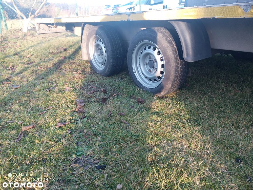 Niewiadów BORO MARS - 12