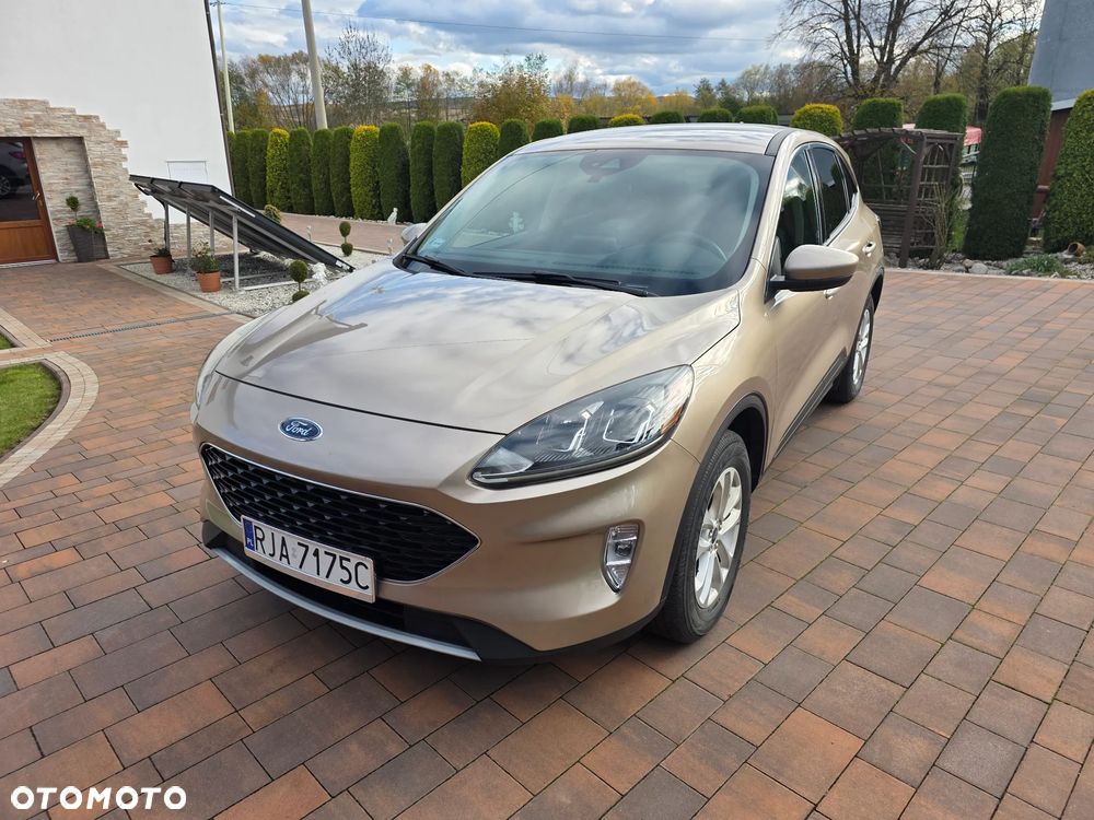 Ford Escape - 6