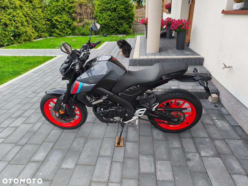 Yamaha MT - 5
