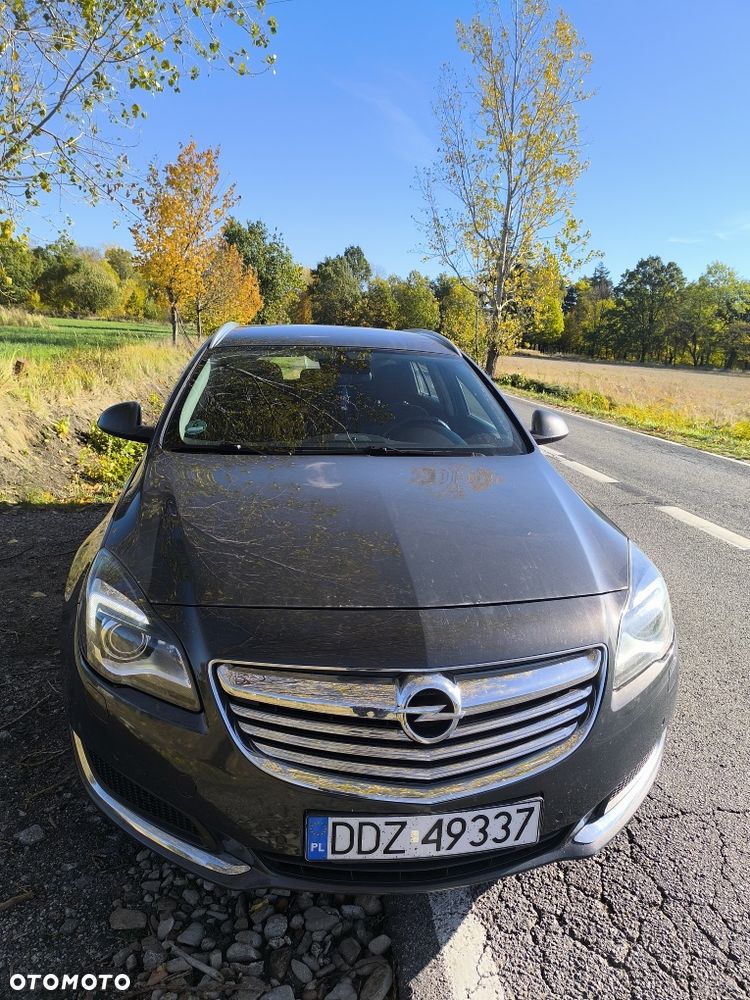 Opel Inny