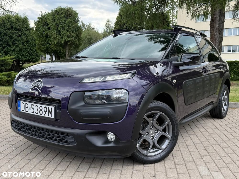 Citroën C4 Cactus PureTech 110 Stop&Start Origins - 12