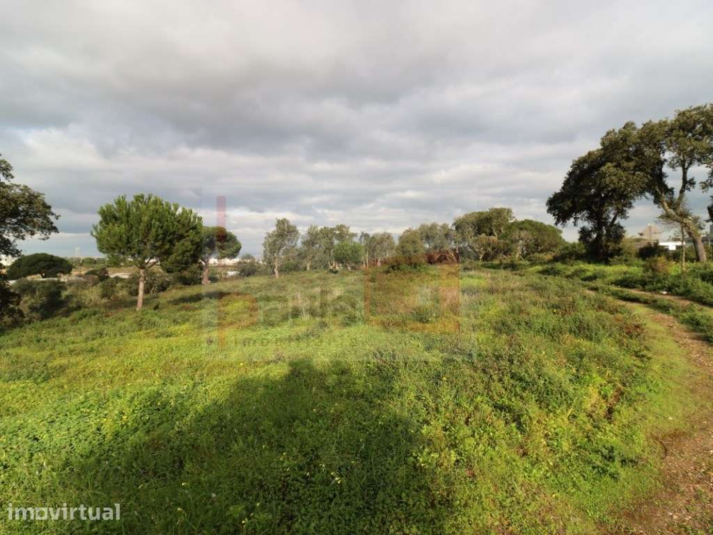 TERRENO COM 5.5HA ALCOCHETE - Grande imagem: 5/13