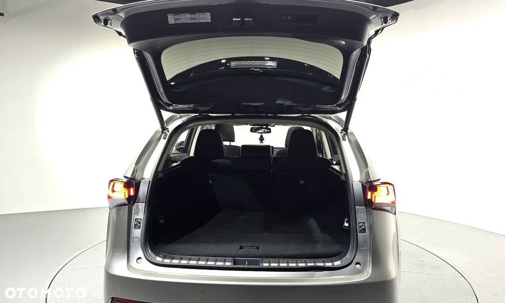 Lexus NX - 12