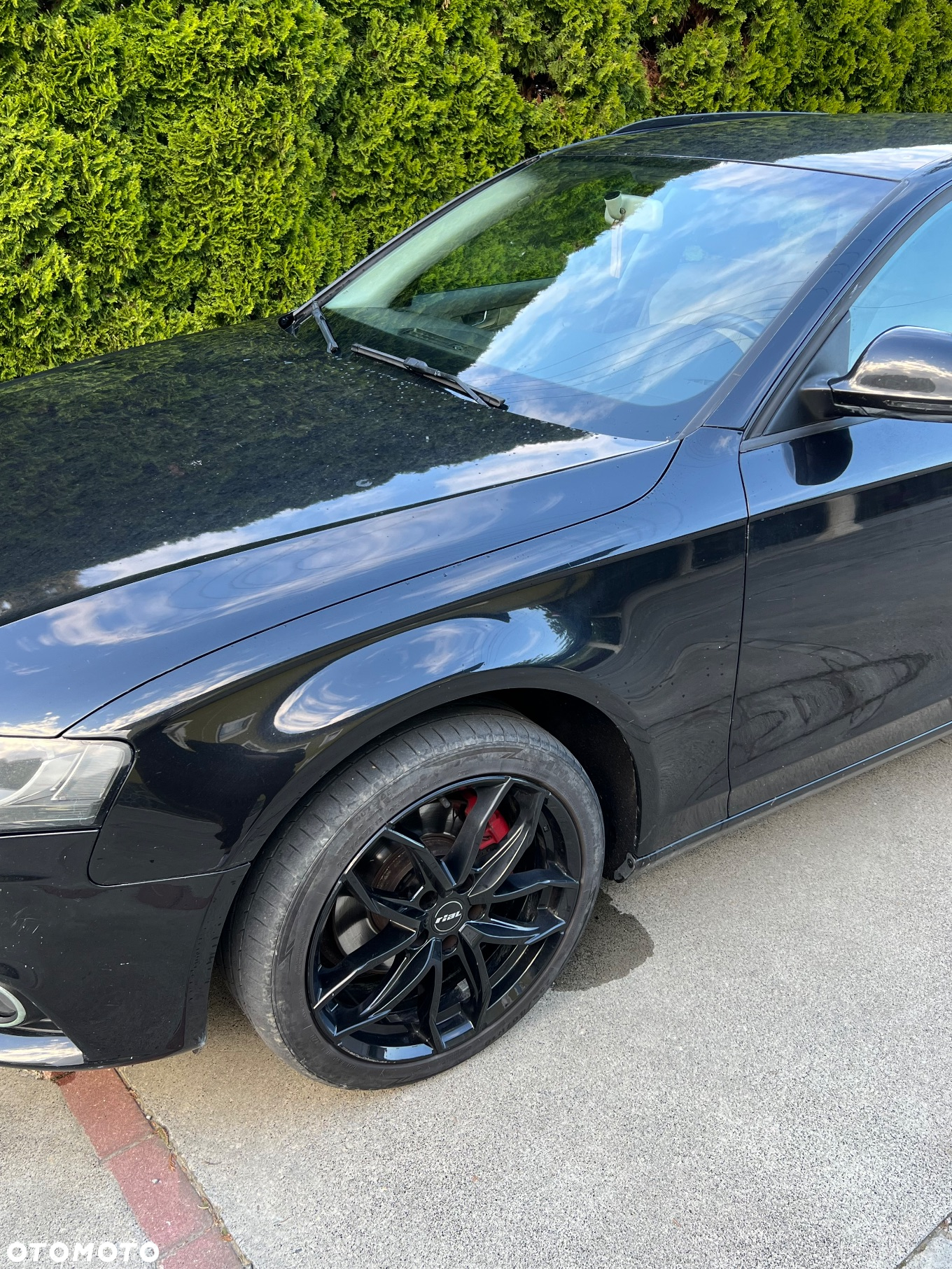 Audi A4 - 8