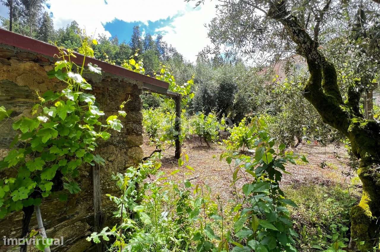 Terrenos Urbanizáveis com 680 e 1.630 m2 - Pampilhosa da Serra - Grande imagem: 5/19
