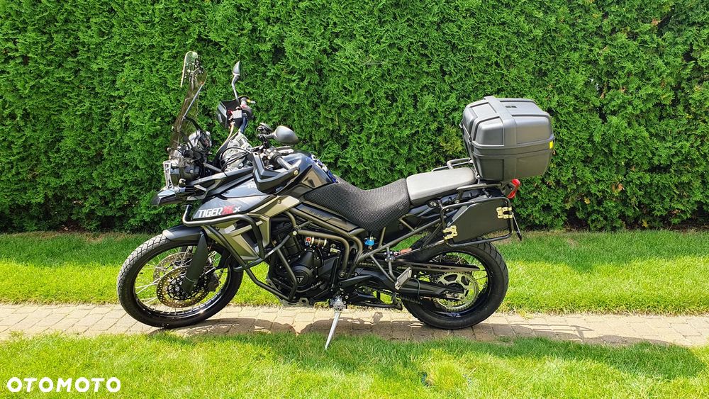 Triumph Tiger - 5