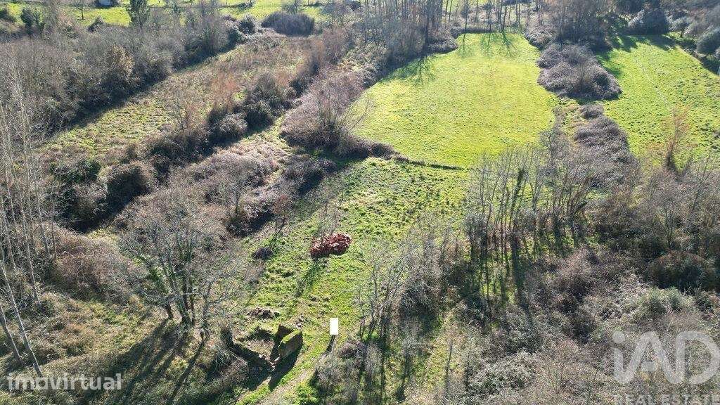 Terreno Agrícola em Espinhal - Grande imagem: 2/23