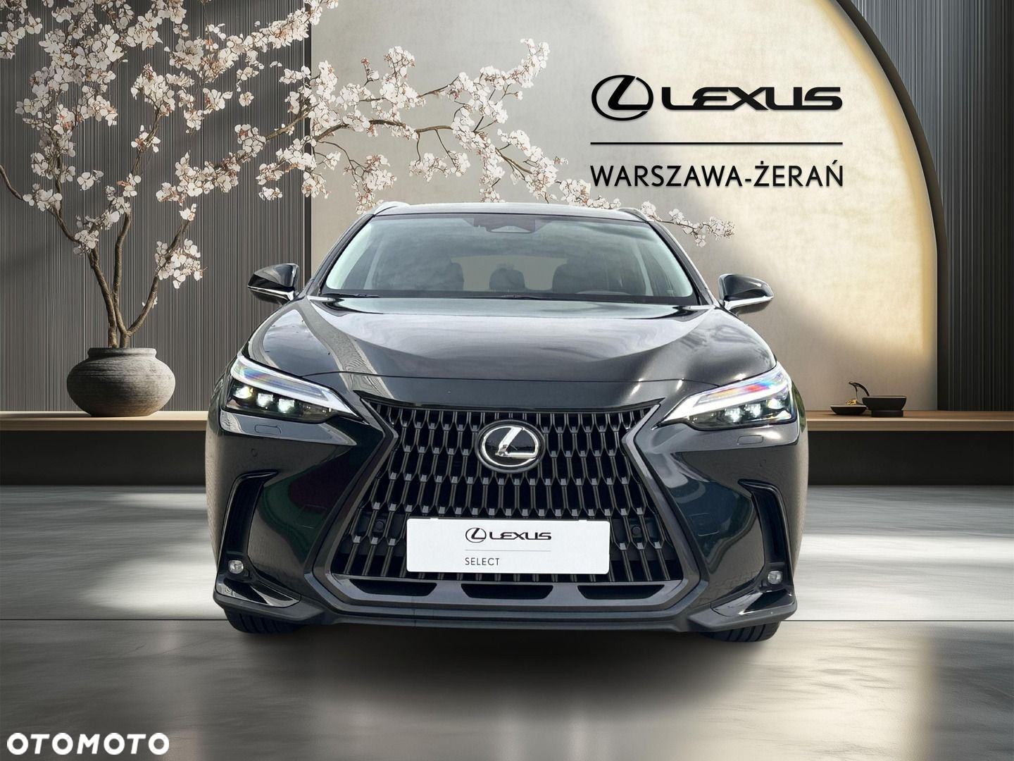 Lexus NX - 10