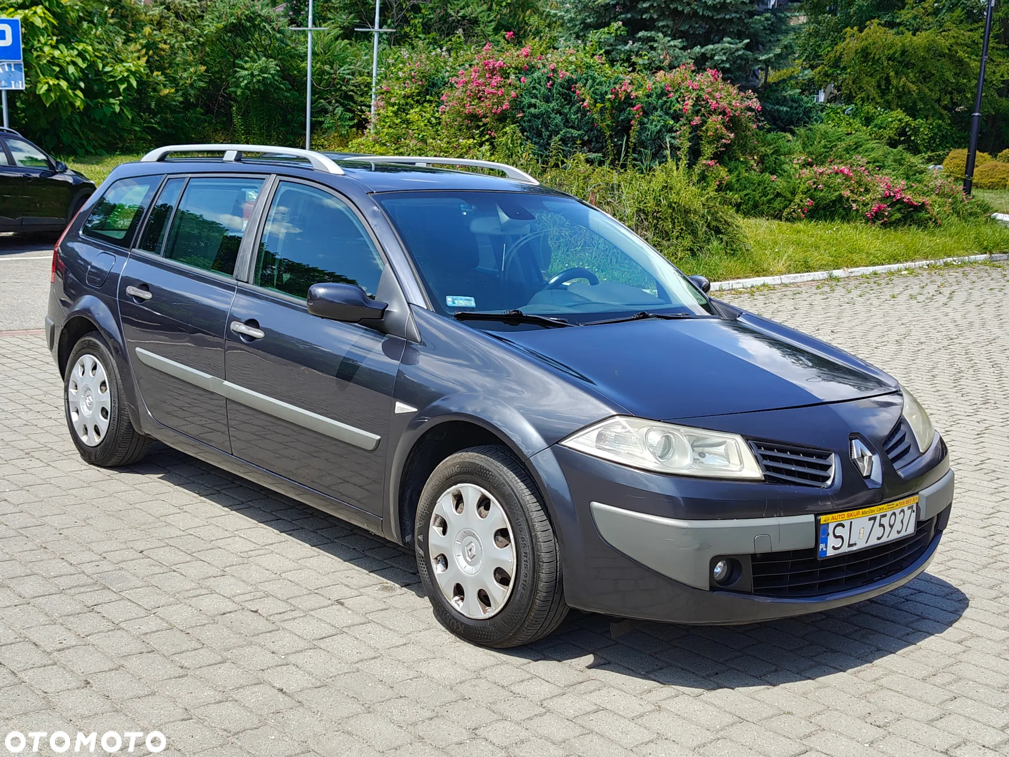 Renault Megane II 1.9 dCi Confort Authentique - 12