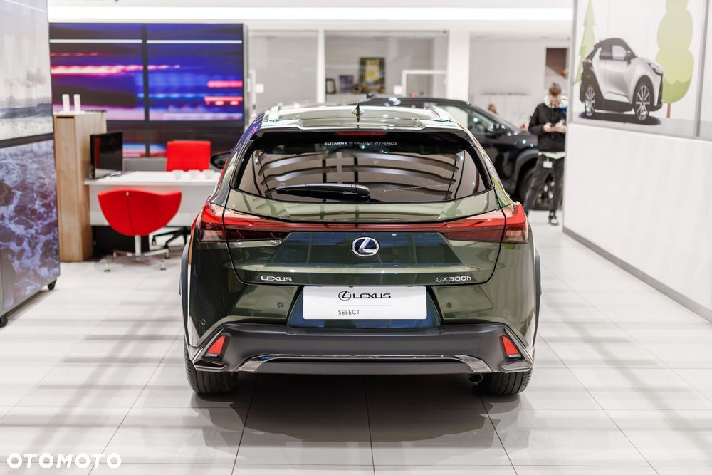 Lexus UX 300h F Sport Design - 20