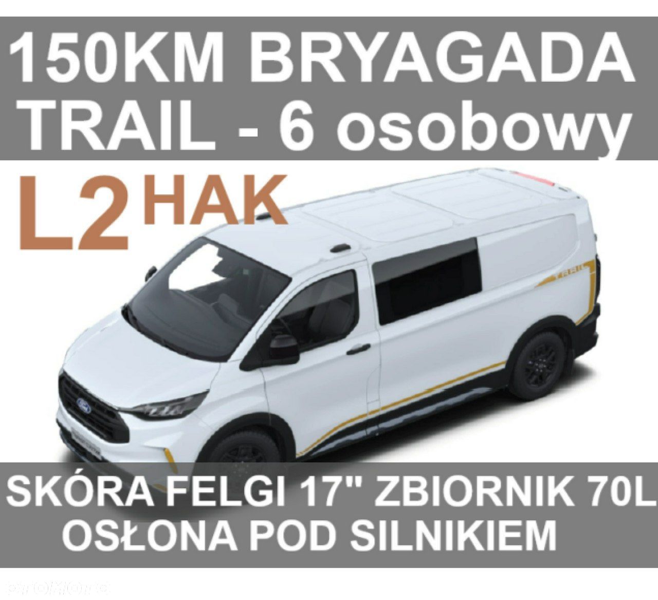 Ford Transit Custom - 1