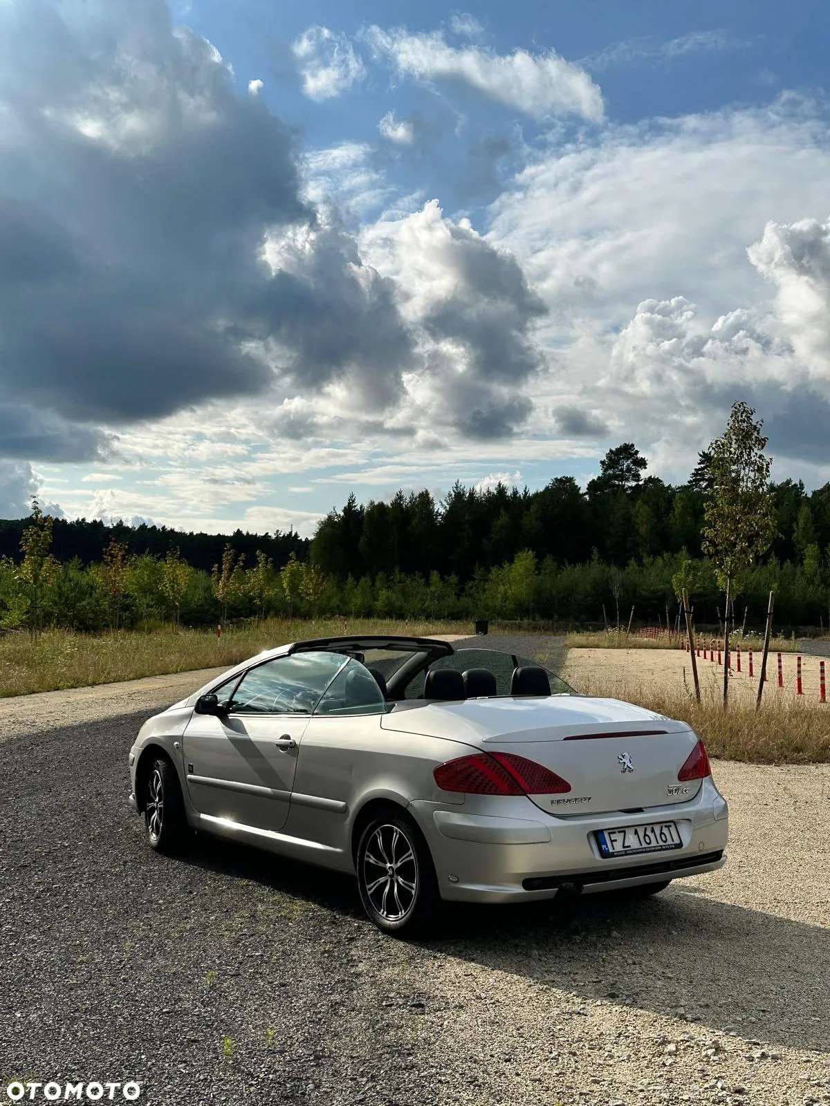 Peugeot 307 CC - 15