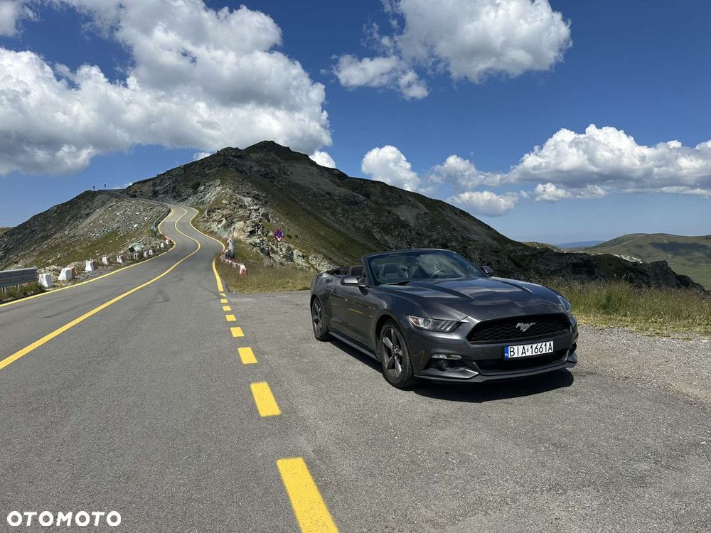 Ford Mustang - 21
