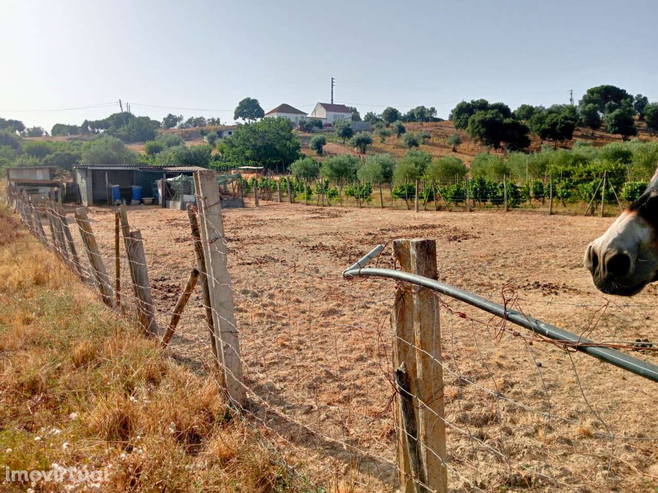 Terreno Rústico com 6.240 m² - Grande imagem: 3/13