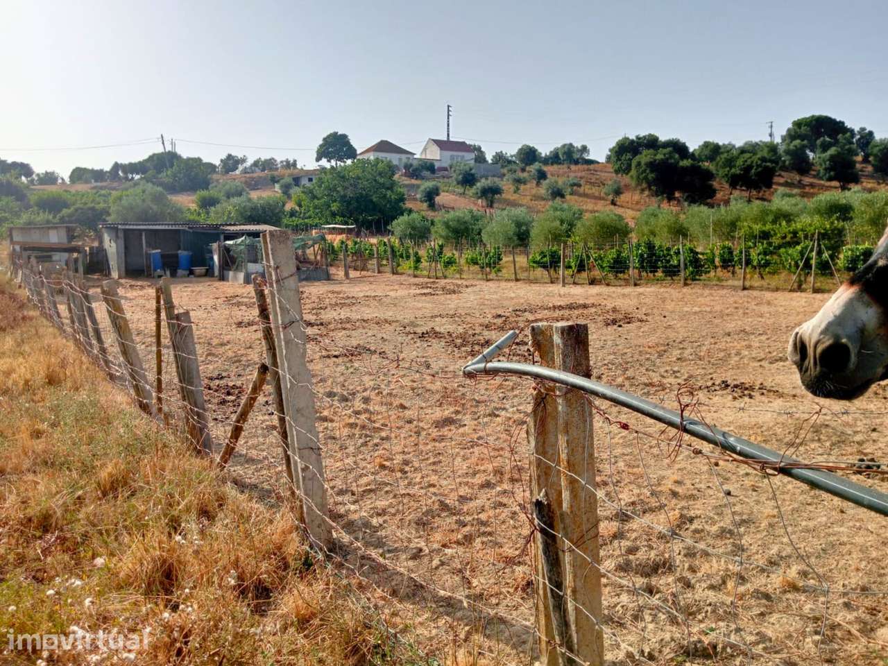 Terreno Rústico com 6.240 m² - Grande imagem: 3/13