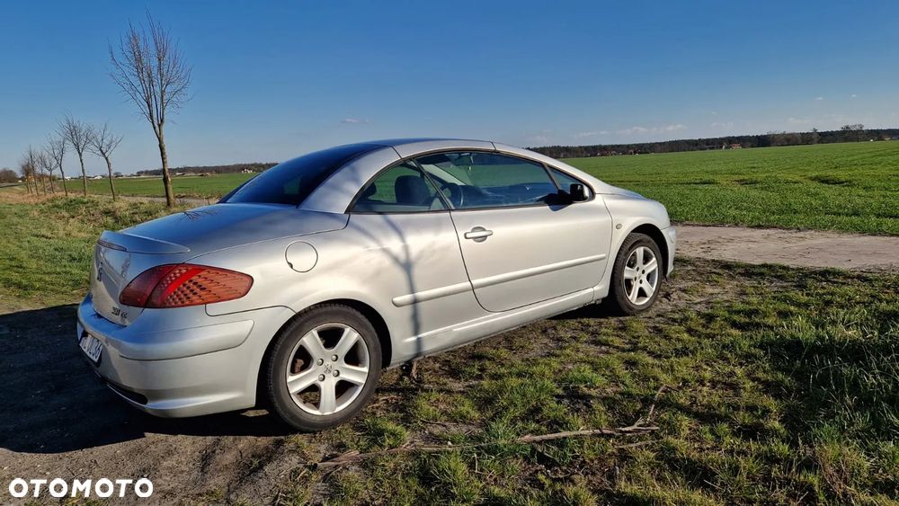 Peugeot 307 CC - 6