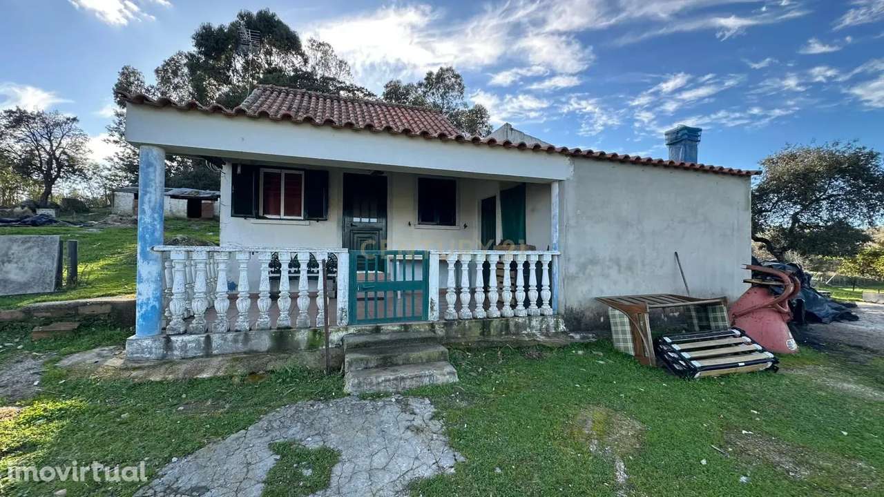 Terreno Rústico, Mata, Castelo Branco - Grande imagem: 4/14