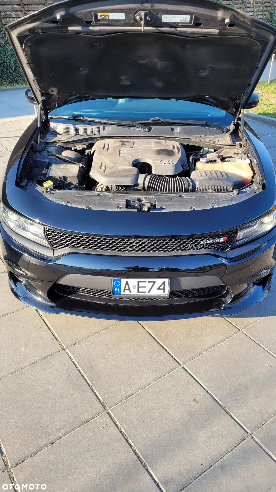 Dodge Charger 3.6 GT - 21