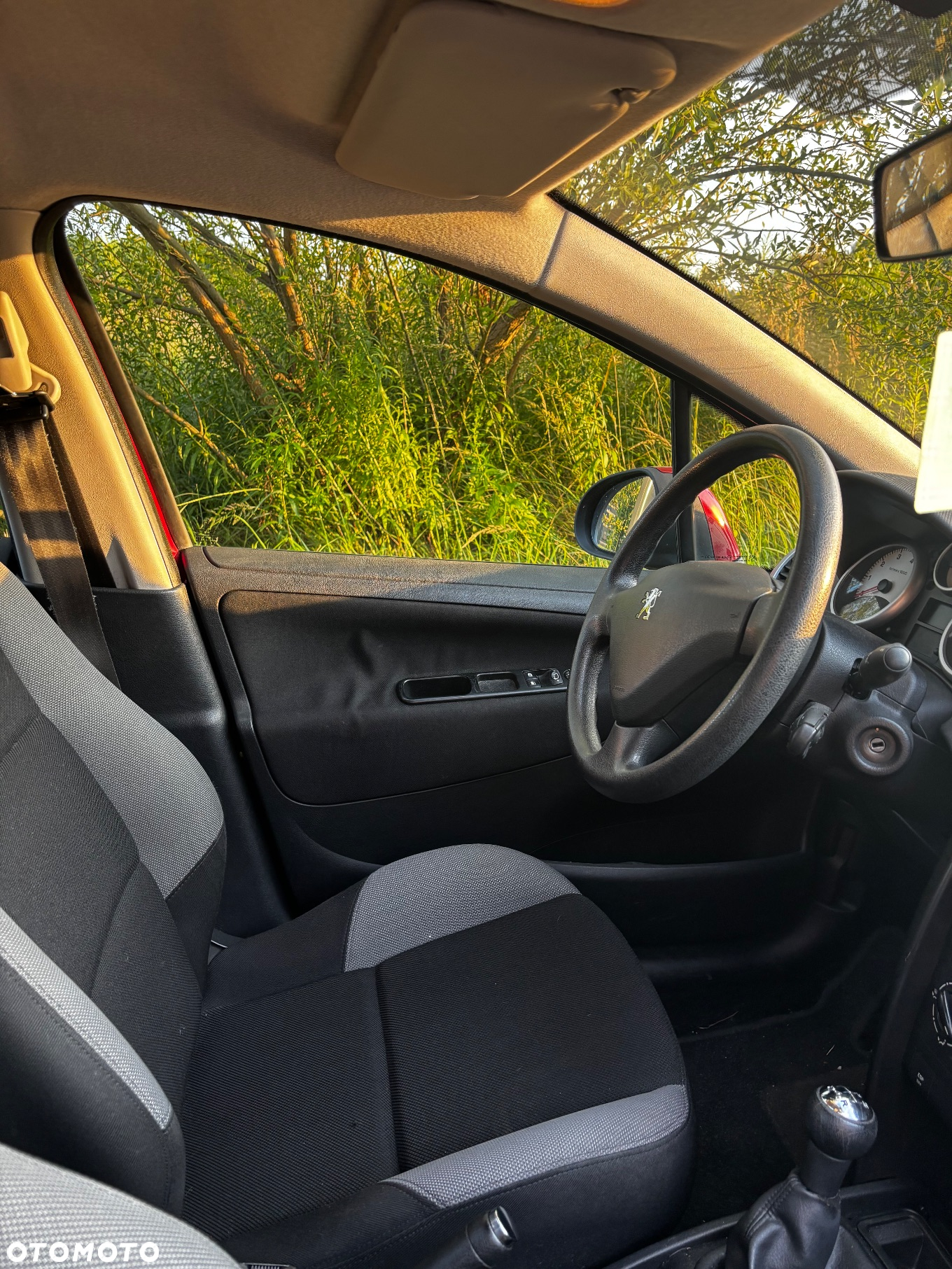 Peugeot 207 - 10