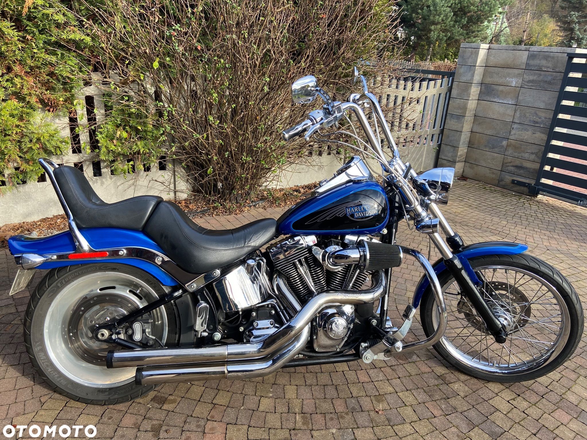 Harley-Davidson Softail Custom - 1