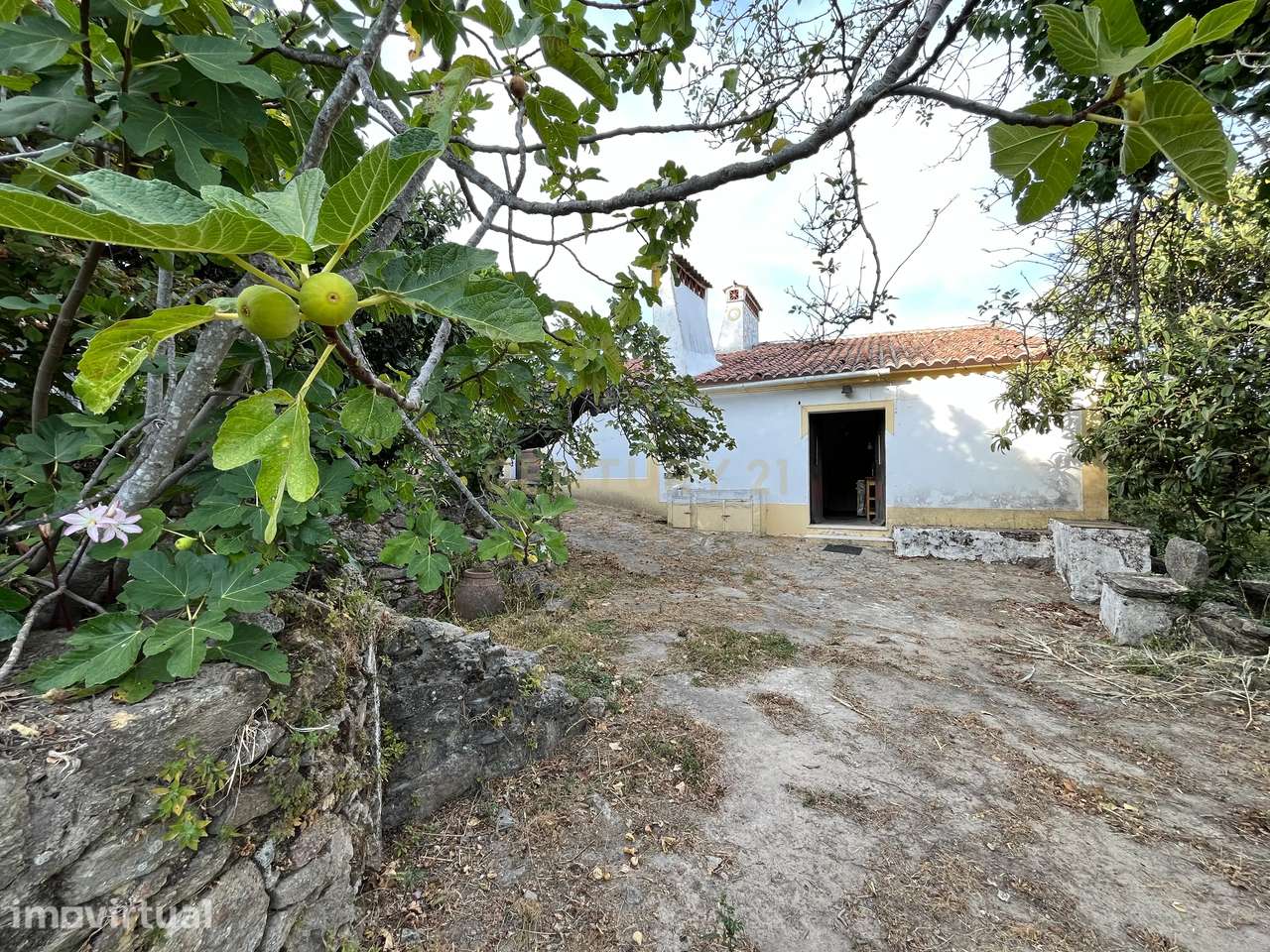 QUINTA T5 - REGUENGO - PORTALEGRE - Grande imagem: 5/53