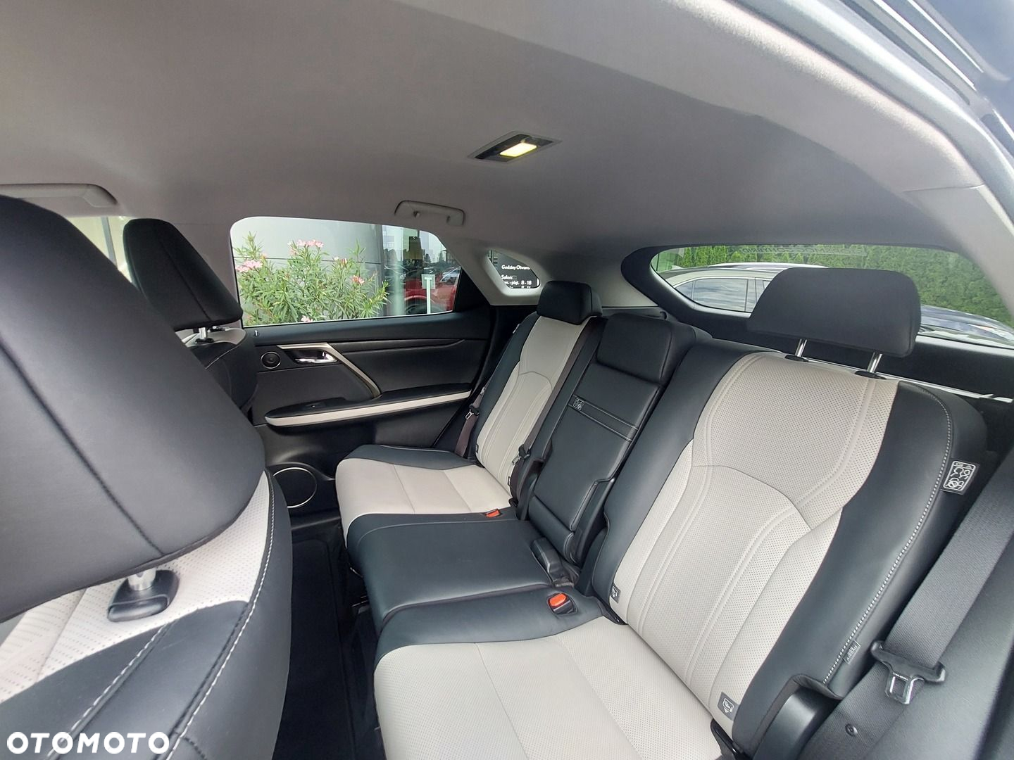 Lexus RX 450h F-Impression - 13